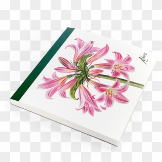 Picture Of Flower Desk Belladonna Lily - Gerbera Clipart