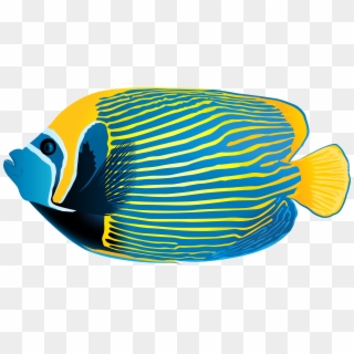 Image Library Background Huge Freebie Png - Emperor Angelfish Clipart Transparent Png