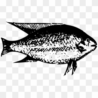 Excelent Fish Clipart Black And White Fresh Water & - Ikan Air Tawar Clipart - Png Download