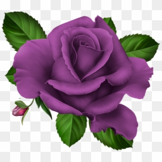 Roses Pink Roze Rosa Kwiaty Png Flowers Png Rose Vector - Purple Rose Png Clipart