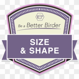 Bbb Size And Shape Badge - Label Clipart