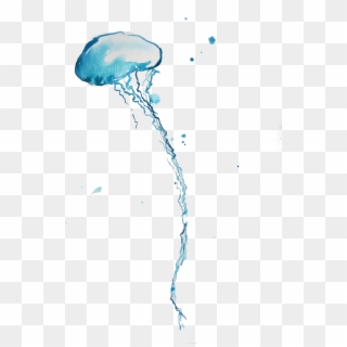 Blue Bottle Jellyfish Png Background - Real Jellyfish Transparent Background Clipart