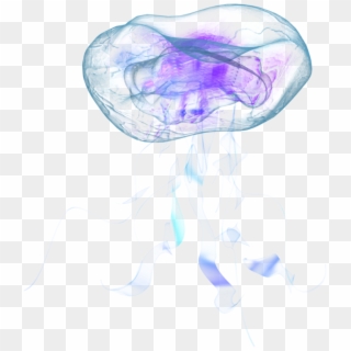 Jellyfish Png Vectors - Jellyfish Transparent Clipart