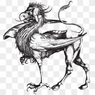 Griffin Mythical Creature Myth Png Image - Martin Schongauer Griffin Clipart