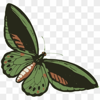 This Free Icons Png Design Of Green Butterfly - Butterfly Clipart