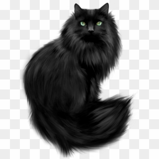 Crazy Catt Black Cat Art, Black Cats, Black Kitty, - Black Fluffy Cat Clip Art - Png Download