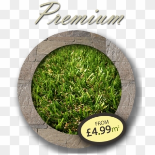 Premium Artificial Grass - Lawn Clipart