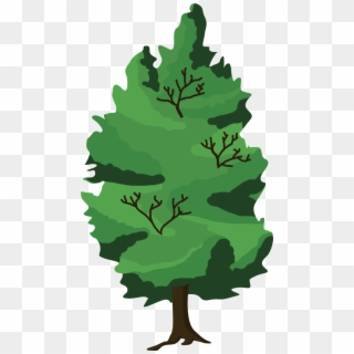 Ilustración Árbol - Hutan Pohon Vektor Clipart