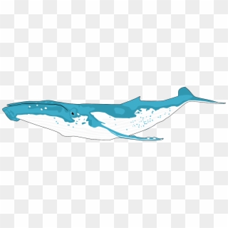 Animal Ocean Whale Blue Whale Png Image - Png Humpback Whale Clipart