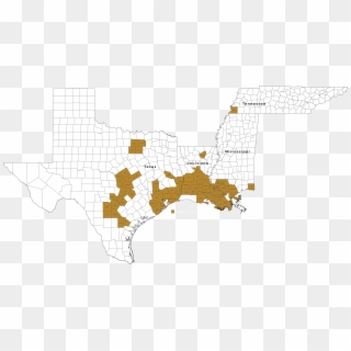 “never In My Wildest Dreams Did I Ever Think Our Operations - Map Of Texas Counties Clipart