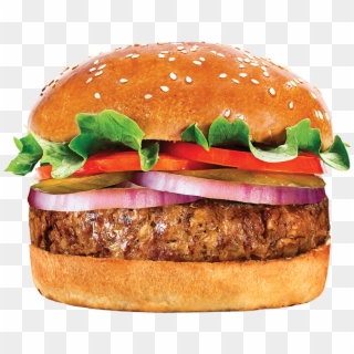 05 - המבורגר 160 גרם Clipart