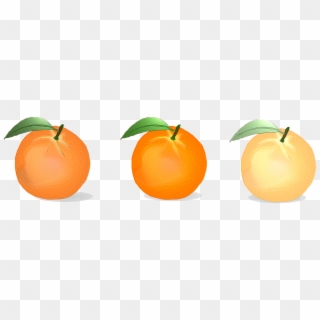Orange Vector Citrus Fruits - Valencia Orange Clipart