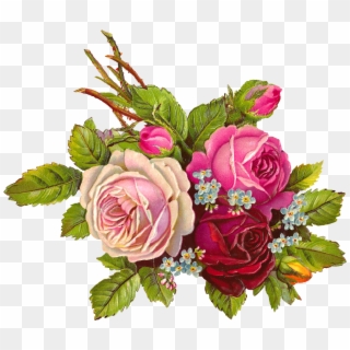 Bouquet Vector Vintage Rose - Pink Roses Vintage Png Clipart