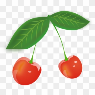 Cherry, Fruits, Red, Berries, Leaves - Png Cartoon Cherries Clipart