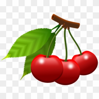 Cherries Fruits Berries Food Png Image - Essen Lustige Bilder Bewegliche Bilder Clipart