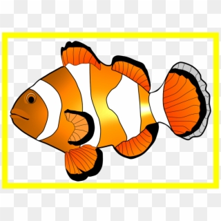 Astonishing Clown Fish Illustration Hanslodge Image - Fish Clip Art - Png Download