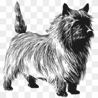 Dog Svg Clip Arts 576 X 599 Px - Cairn Terrier Clipart - Png Download