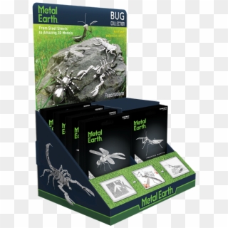 Picture Of Bugs Prepack - Insect Clipart