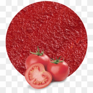 Tomato Paste Concentrate - Plum Tomato Clipart