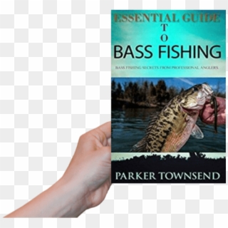 Close Angler Connection Monthly Newsletters - Trout Clipart