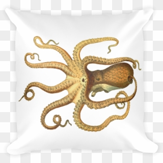Vintage Octopus 2400px Mockup Front Original - Throw Pillow Clipart
