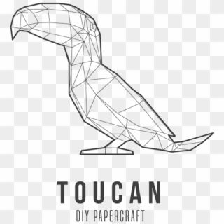 Brazil Drawing Toucans - Sketch Clipart