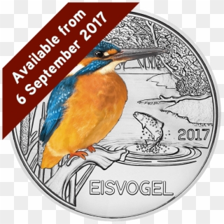 The Kingfisher Glow In The Dark Silver Coin Clipart