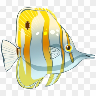 Butterfly Fish Png - Butterfly Fish Cartoon Clipart