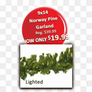 9 9×14 Norway Pine Garland Lit - Insight Global Clipart