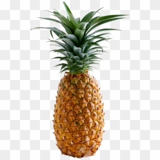 Pineapple Free Pictures - Pineapple Clipart