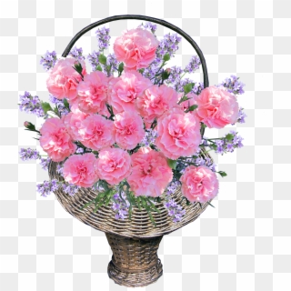 Basket, Carnations, Pink, Arrangement - Cesta De Cravos Clipart