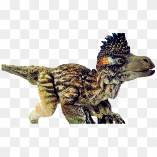 Beast Of The Mesozoic Velociraptor Clipart