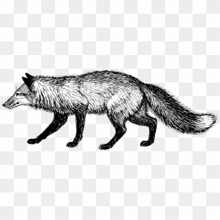 Fox - Fox Black White Png Clipart
