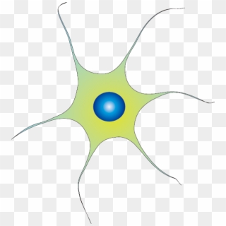 File Wikimedia Commons Neuronpng Transparent Background - Circle Clipart