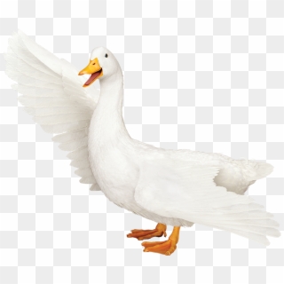 Aflac Logo Png - Transparent Aflac Duck Clipart