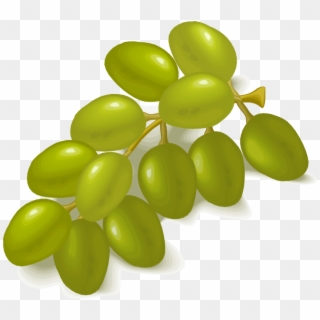 Common Grape Vine Wine Fruit Salad Sultana - Grape Clipart