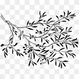 Drawn Branch Olive Branch - Branches Clipart Black And White - Png Download