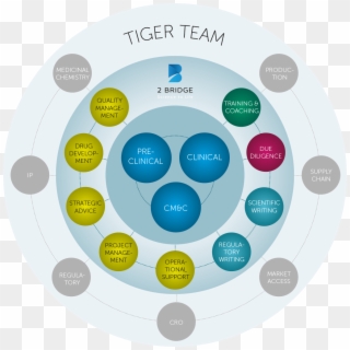 What A Tiger Team Can Do - Circle Clipart