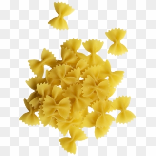 Pasta - Narcissus Clipart
