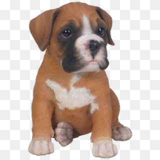 Pet In Gift - Boxer Puppy Clip Art - Png Download