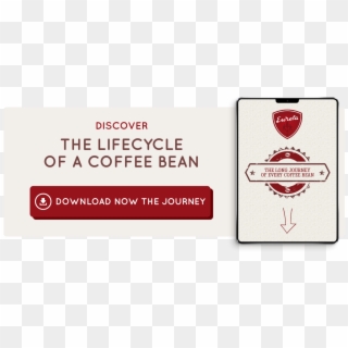 Download Lifecycle Coffee Bean - Eureka Grinder Clipart