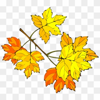 Leaf - Осенние Каникулы Рисунки Clipart