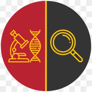 Graphic Of Microscope And Magnifying Glass Icon - Emblem Clipart