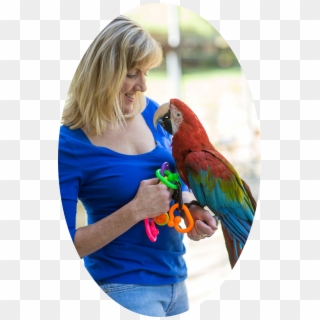 Big Bird With Her - Macaw Clipart