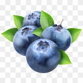 30 Jan 2018 - Blueberry Png Clipart