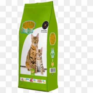Nuthya Cat Cocktail Nugape - Cat Grabs Treat Clipart