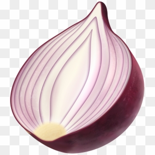 Red Onion Png Clip Art Image - Red Onion Transparent Png