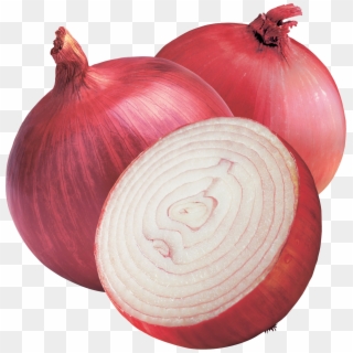 Onion Png Image - Transparent Background Onion Png Clipart