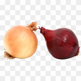 Fresh Onions Png Image - Onions Png Clipart