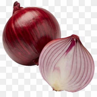 Red Onion Clipart